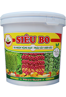 SIÊU VI LƯỢNG MÙA MƯA